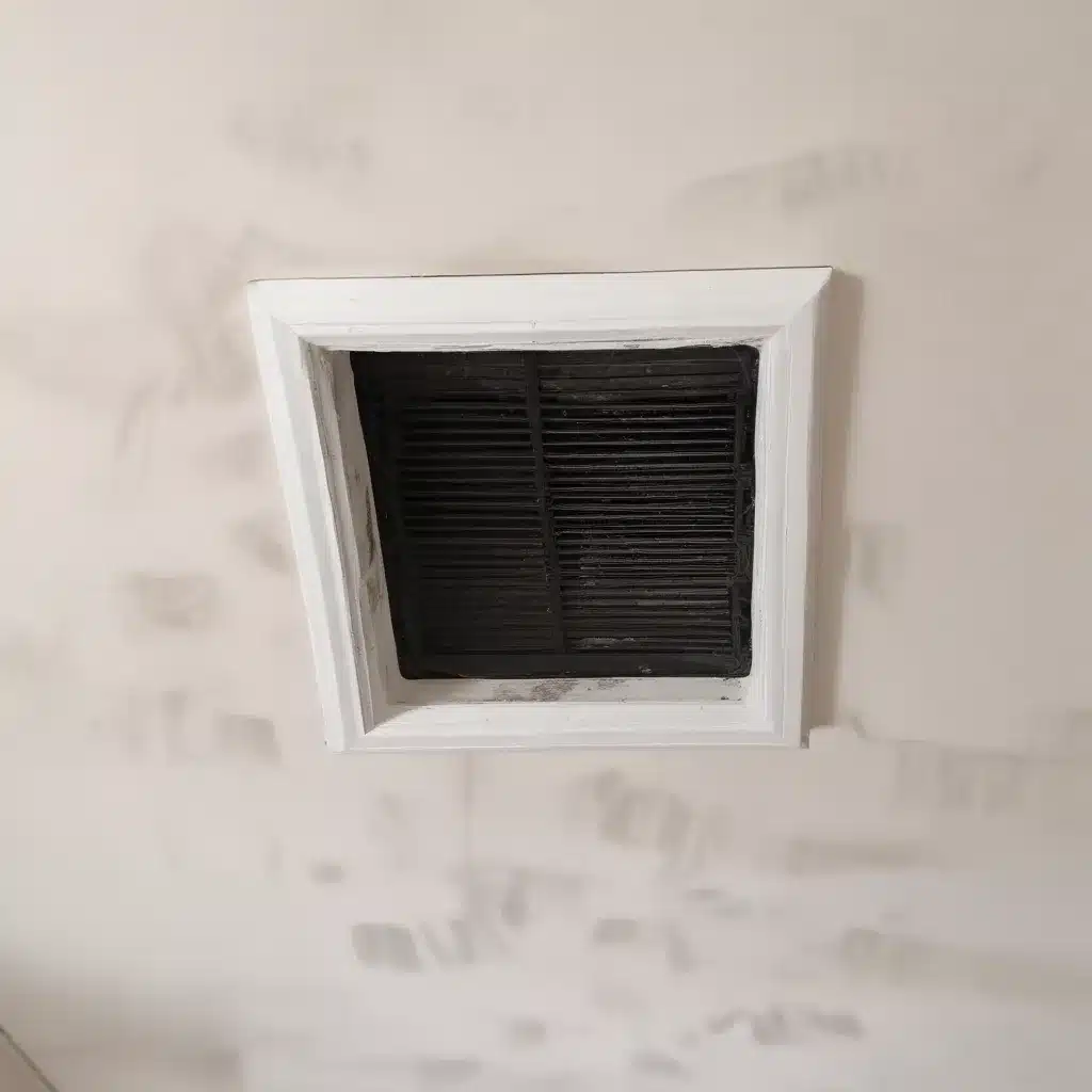 Drying Up Disaster: Harnessing the Power of Air Duct Cleaning for Water Damage Resilience